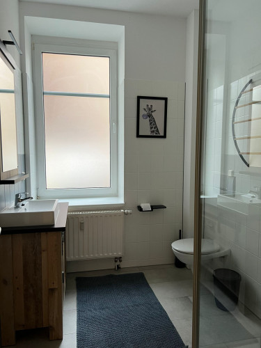 Pretty, gorgeous loft located in Halle (Saale)