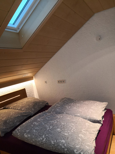 Cozy and charming flat near Uni, in Mainz
