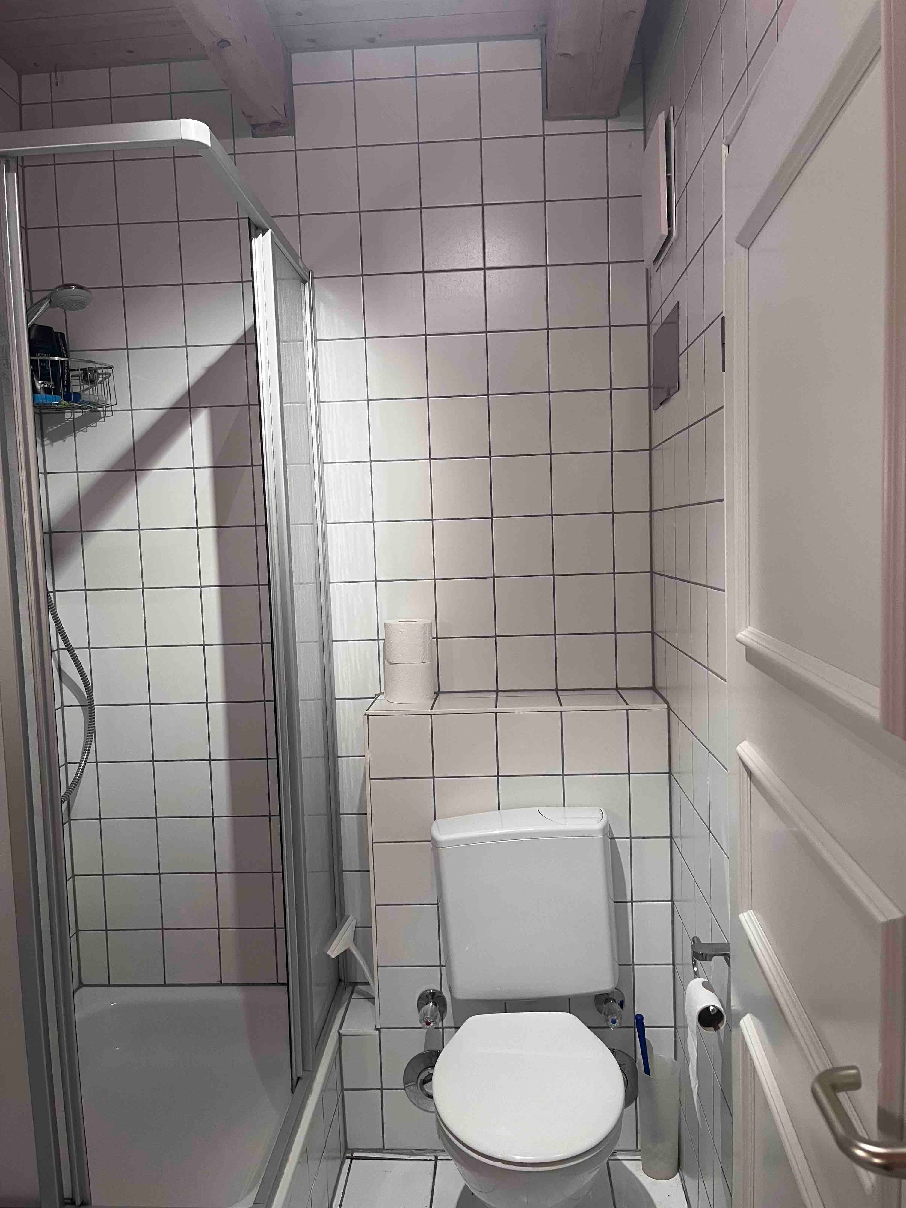  Central Rooftop Apartment (Erlangen)  -  Central Rooftop Apartment (Erlangen)  - Gallery -  3