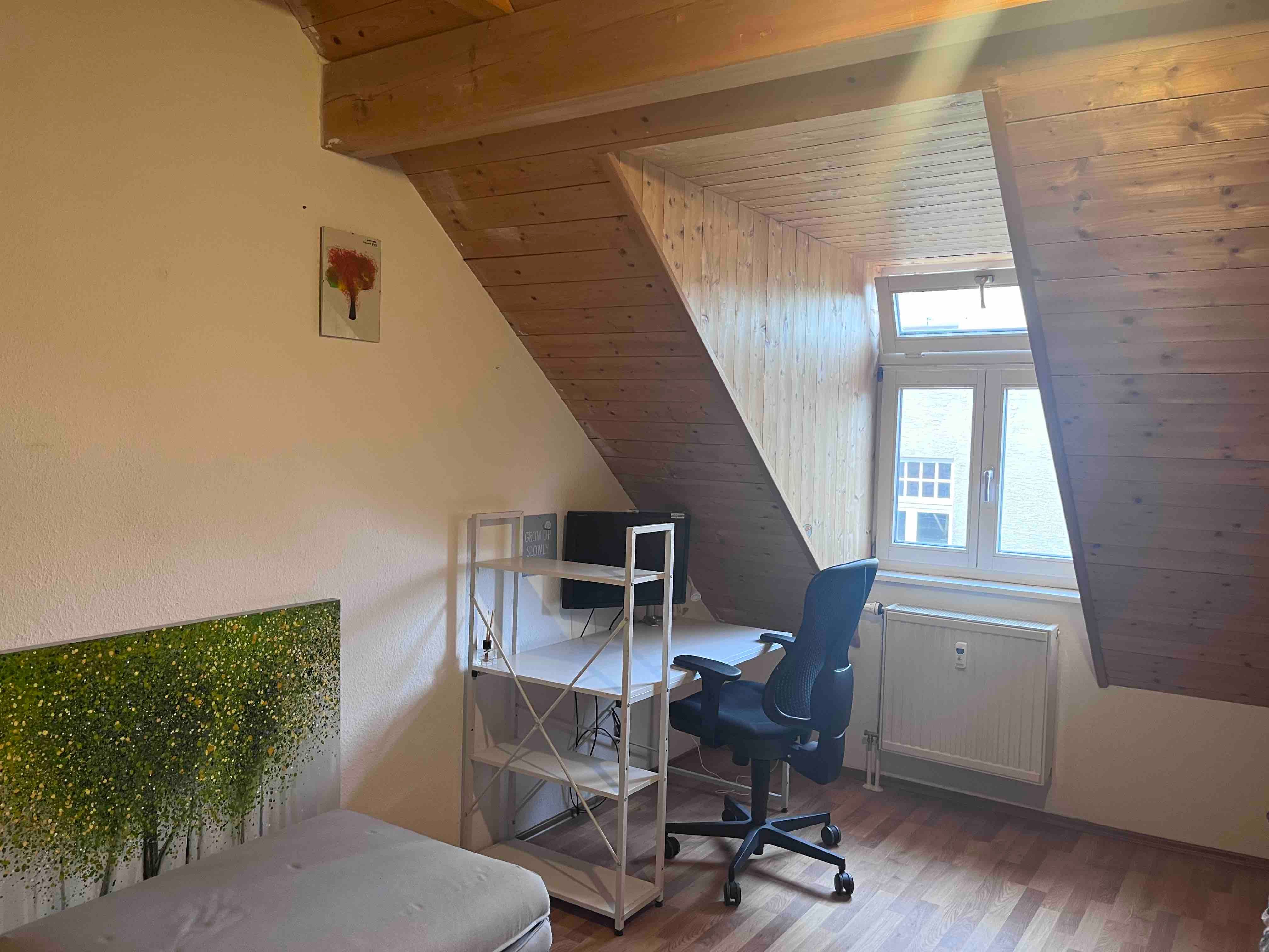 Central Rooftop Apartment (Erlangen)  -  Central Rooftop Apartment (Erlangen)  - Gallery -  8