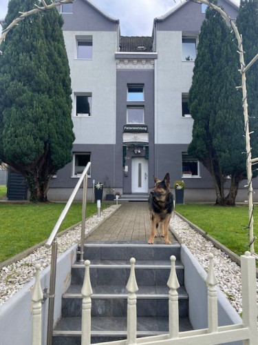 Spacious & pretty flat in Kiel