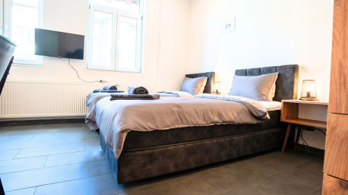 SR24 - Stilvolles Apartment 2 in Recklinghausen - Gallery - 8