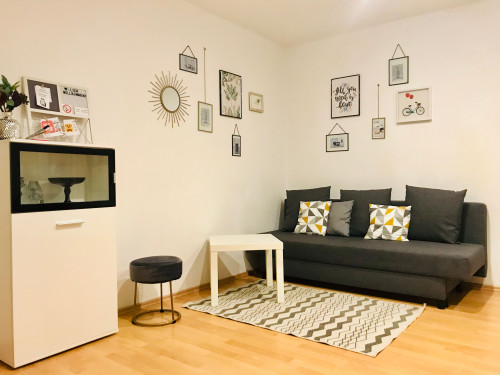 Spacious and charming suite (Saarbrücken) - Gallery - 16