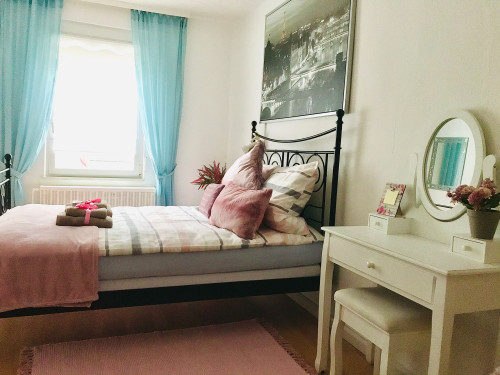 Spacious and charming suite (Saarbrücken) - Gallery - 26