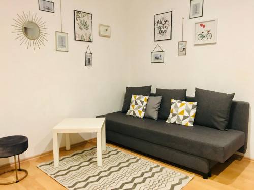 Spacious and charming suite (Saarbrücken) - Gallery - 18