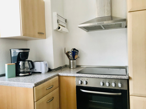 Spacious and charming suite (Saarbrücken) - Gallery - 13