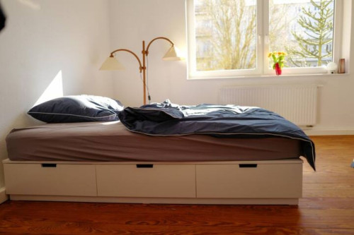 Modern Appartment in City Center