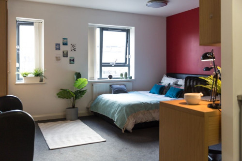  Classic Studio  -  St Marks Court  - Gallery -  1