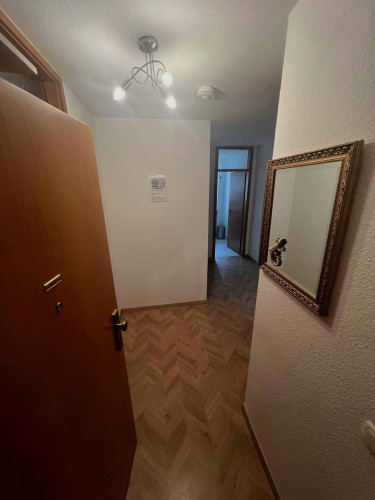 Licht, Ruhe und Lebensfreude. Zentrale schöne Wohnung in Dresden - Gallery - 10