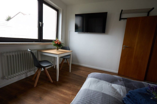 Neat, spacious studio - Gallery - 6