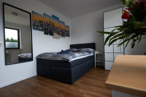 Neat, spacious studio - Gallery - 10