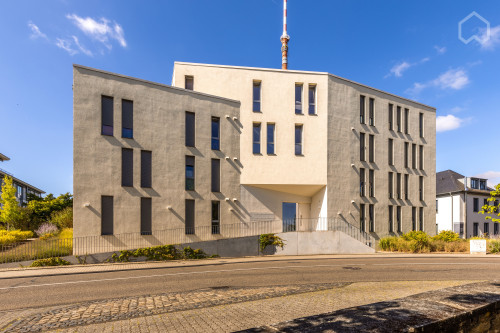 Stylish & modern apartment in Trier