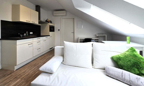 Nice boarding apartment for 1 person in Raunheim, near Frankfurt airport - Gallery - 3