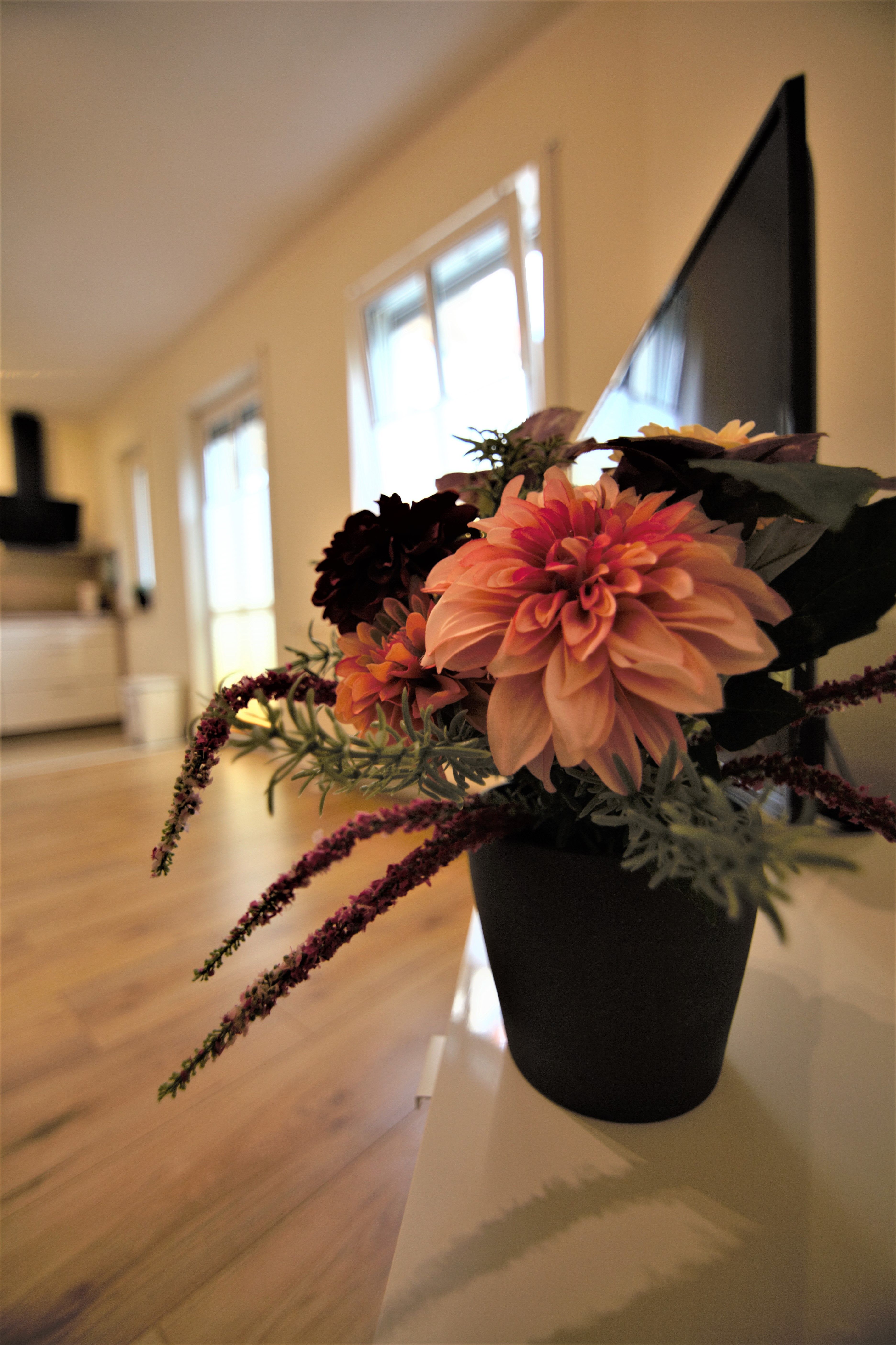 Modern Apartment Conveniently Located - Modern apartment conveniently located - Gallery - 3