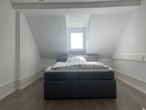 Simplex Apartments: big apartment, Karlsruhe near "Ettlinger Tor"