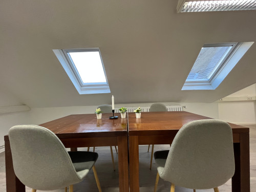 Simplex Apartments: big apartment, Karlsruhe near "Ettlinger Tor"