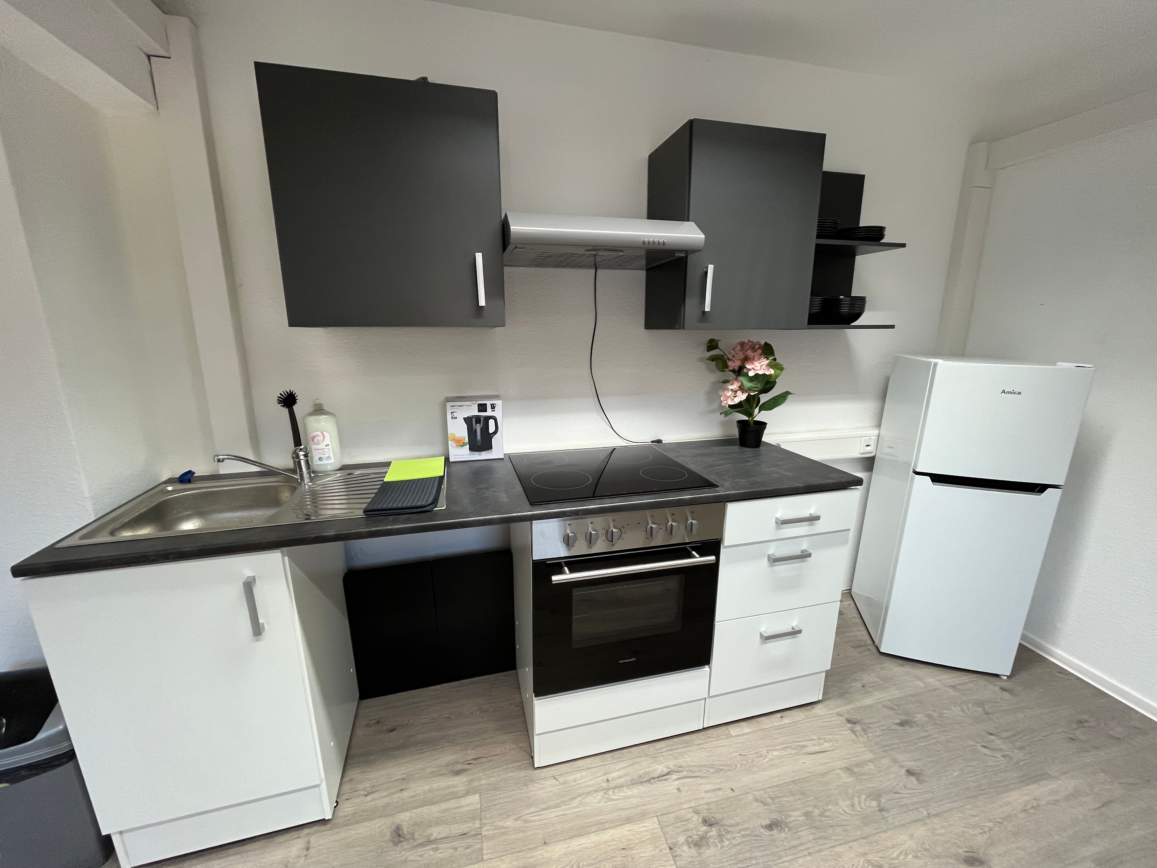 Simplex Apartments: Big Apartment, Karlsruhe Near "Ettlinger Tor" - 5