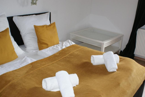 Wonderful, charming apartment (Magdeburg)
