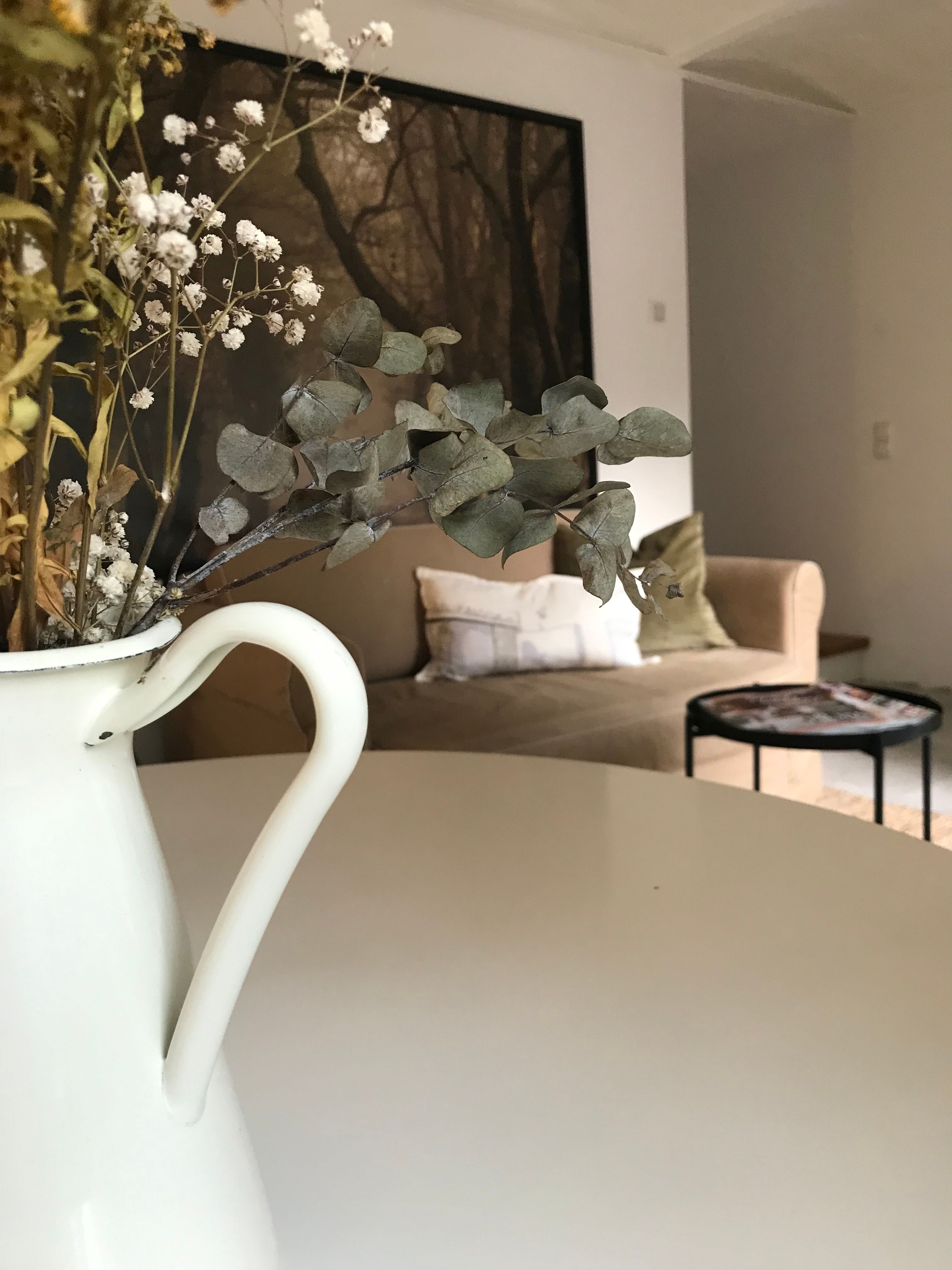 Country House Dream - Lovingly Renovated Coachman's House In Large Garden With Old Walnut Trees - 5
