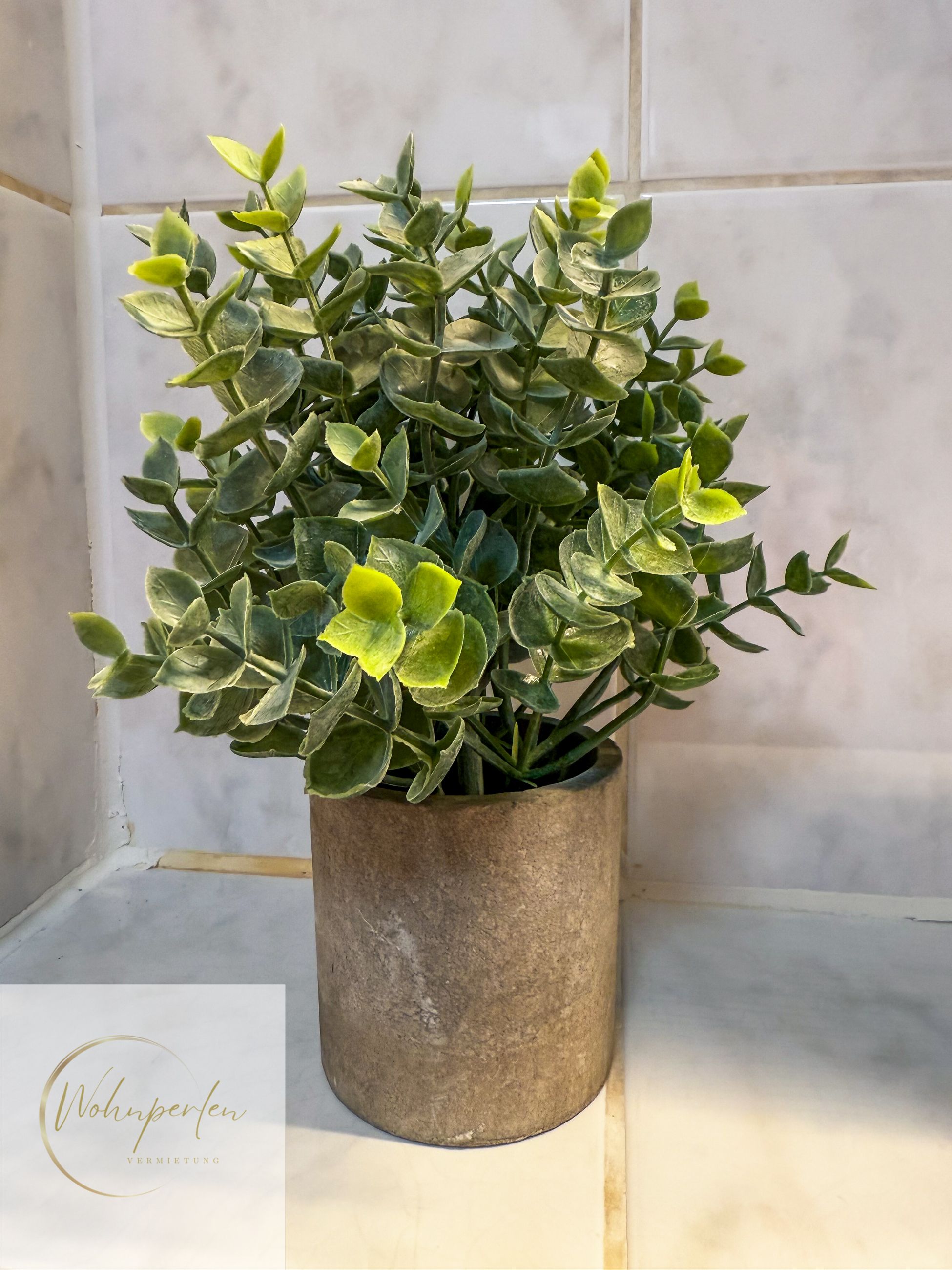 New & Cozy Flat In Dresden - 5