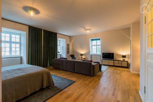 Spacious 1 room apartment with upscale furnishings at the Heiligen See in Potsdam - Gallery - 31