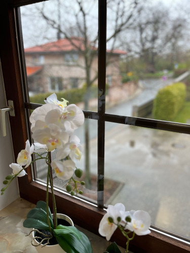 Charming & quiet apartment on time in Salzgitter - Gallery - 11