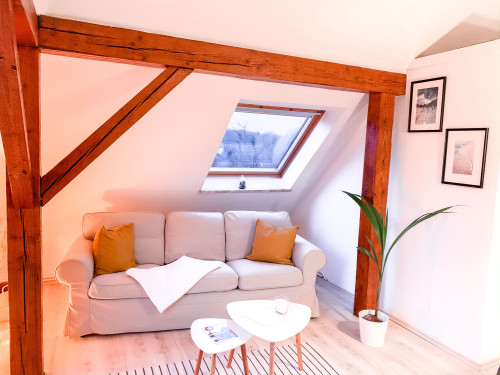 Stylish attic apartment in Kiel - Düsternbrook