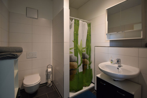 Fully eqipped and furnished apartment, no deposit, near Frankfurt airport