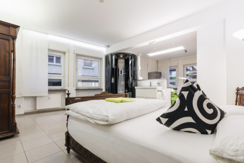 Apartment A - Modern stylish 1 room Loft City Center Ground Floor - Gallery - 11