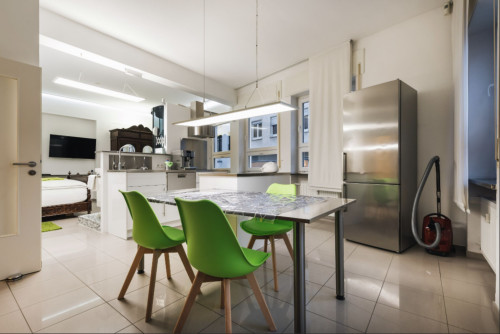Apartment A - Modern stylish 1 room Loft City Center Ground Floor - Gallery - 13