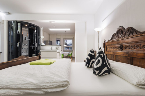 Apartment A - Modern stylish 1 room Loft City Center Ground Floor - Gallery - 9