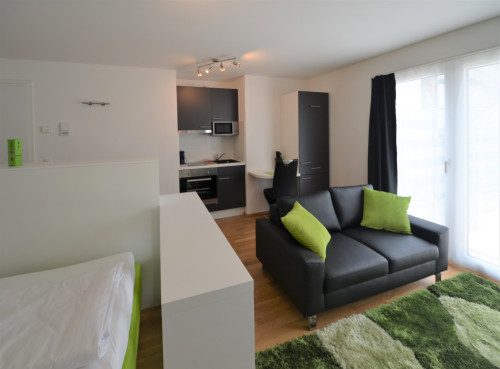 Boarding apartment - fully equipped - beautifully furnished