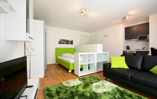 Boarding apartment - fully equipped - beautifully furnished - Gallery - 15
