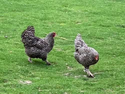 Charming country side apartment with terrace