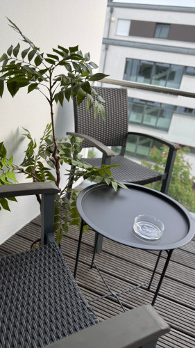 Studio - Küche - Stellplatz - Netflix - Zentral - Gallery - 10