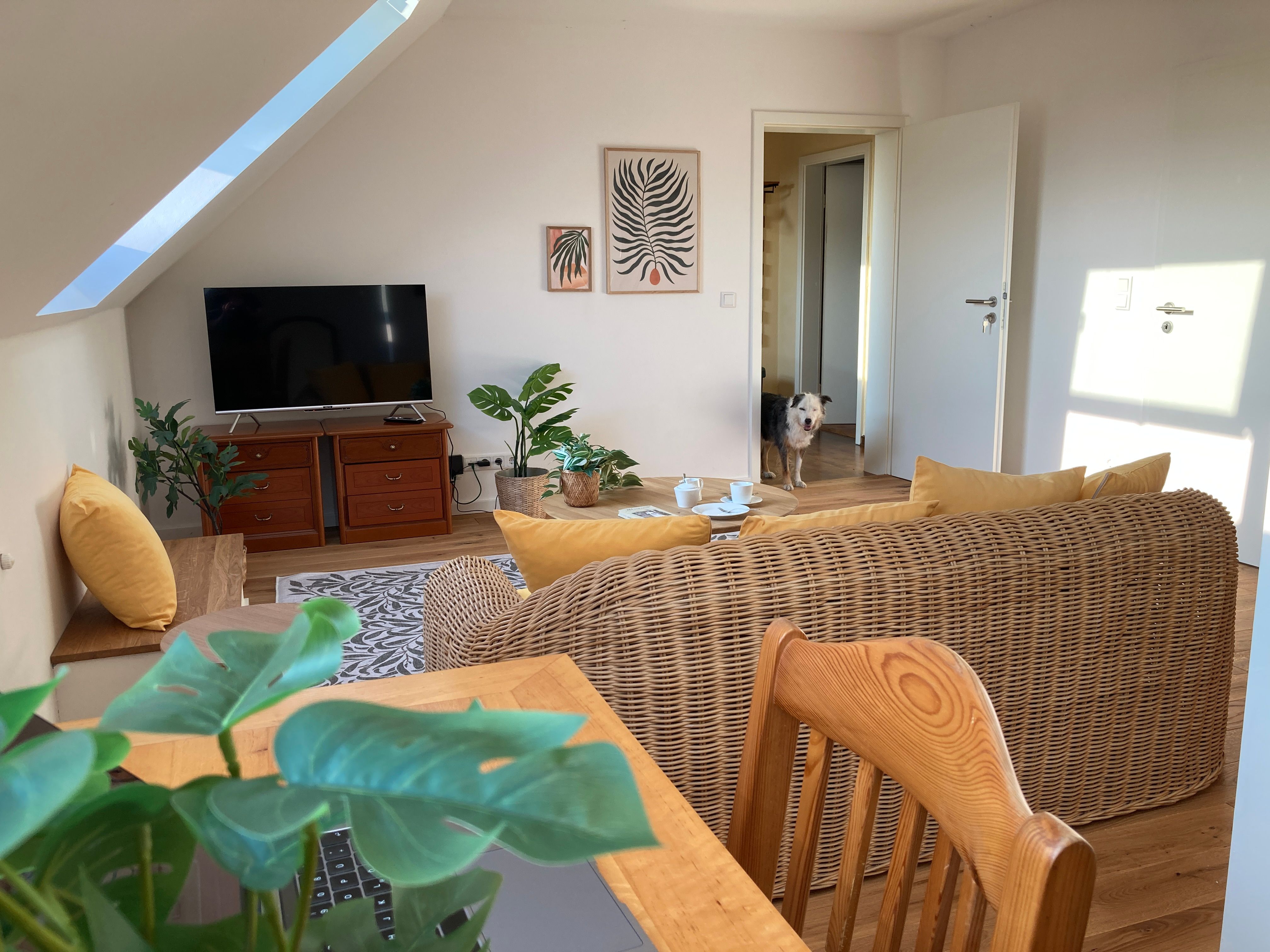 High-Quality Furnished Company & Project Flat In Hamm, From 3 Months - 13