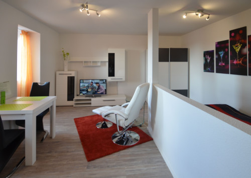 Beautiful apartment - fully equipped and furnisehd - near Frankfurt - Gallery - 17