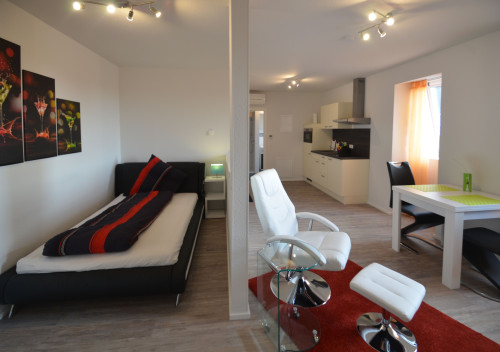 Beautiful apartment - fully equipped and furnisehd - near Frankfurt