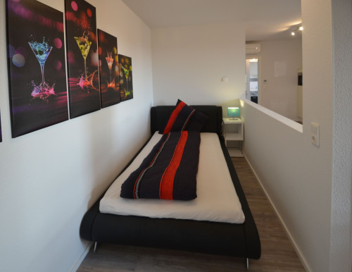 Beautiful apartment - fully equipped and furnisehd - near Frankfurt - Gallery - 14