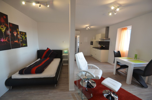Beautiful apartment - fully equipped and furnisehd - near Frankfurt  - Gallery -  5