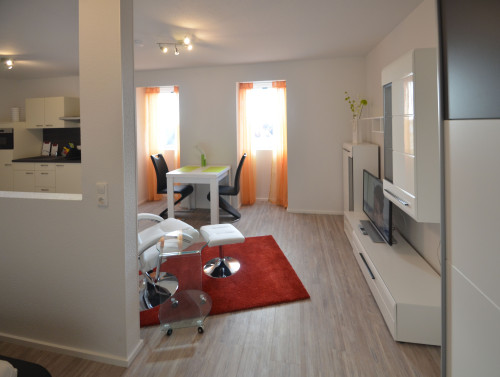 Beautiful apartment - fully equipped and furnisehd - near Frankfurt