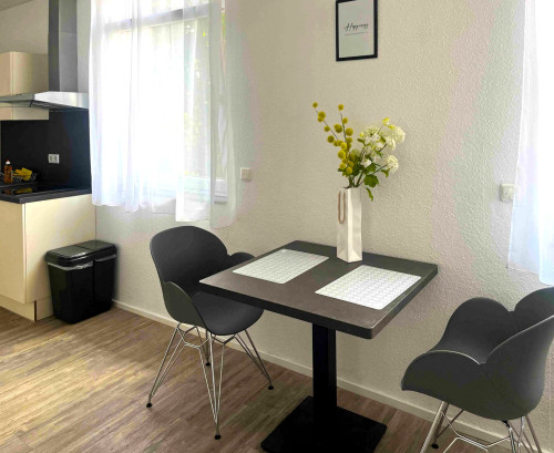 Beautiful apartment - fully equipped and furnisehd - near Frankfurt - Gallery - 9