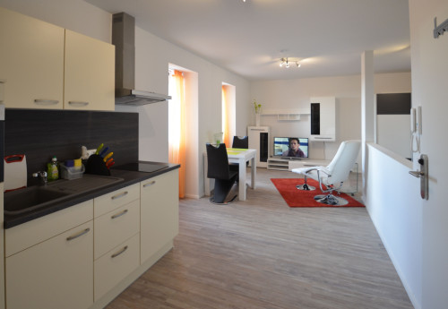 Beautiful apartment - fully equipped and furnisehd - near Frankfurt - Gallery - 15