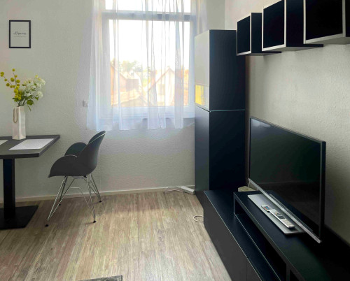 Beautiful apartment - fully equipped and furnisehd - near Frankfurt - Gallery - 10