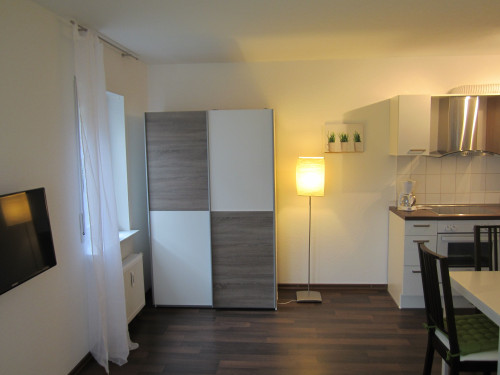 High quality apartment in Karlsruhe - Gallery - 20