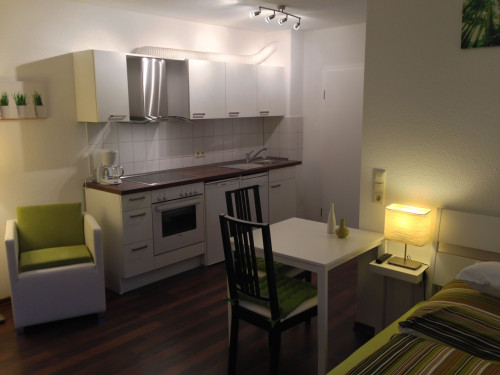 High quality apartment in Karlsruhe - Gallery - 18