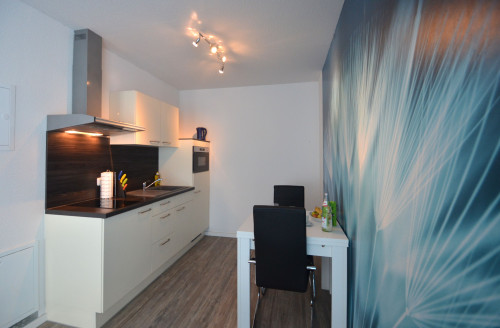 Premium Boardingapartment near Frankfurt airport fpr single or couple - Gallery - 13