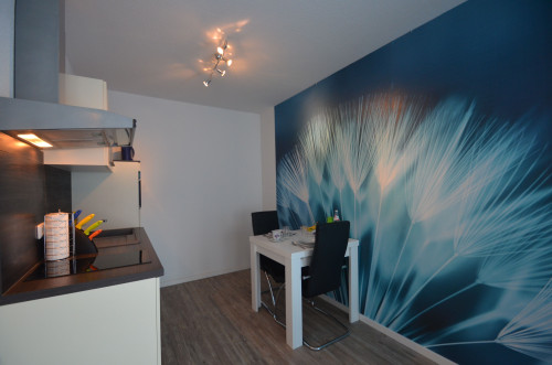 Premium Boardingapartment near Frankfurt airport fpr single or couple