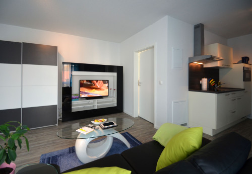 Premium Boardingapartment near Frankfurt airport fpr single or couple - Gallery - 14