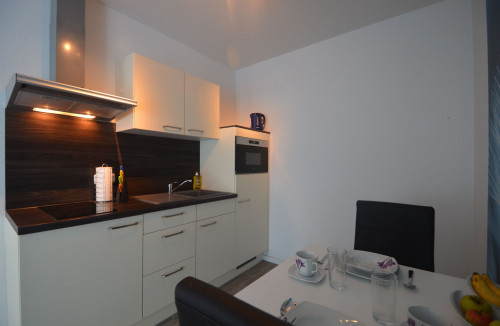 Premium Boardingapartment near Frankfurt airport fpr single or couple - Gallery - 15